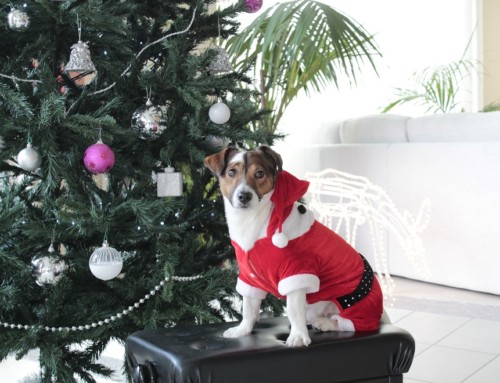 Buon Natale